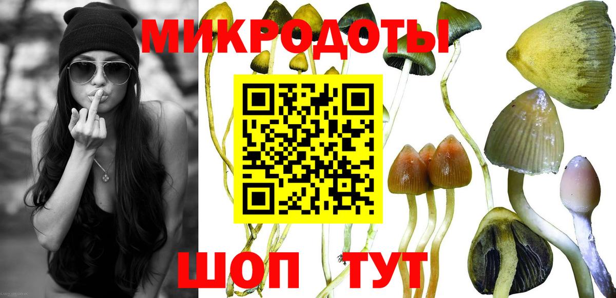 Учалы  Псилоцибиновые грибы Psilocybine cubensis  сколько стоит  Вход с VPN 